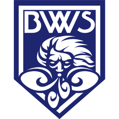 福井ブローウィンズ