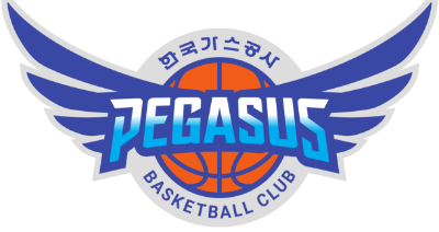 大邱韓国ガス公社ペガサス